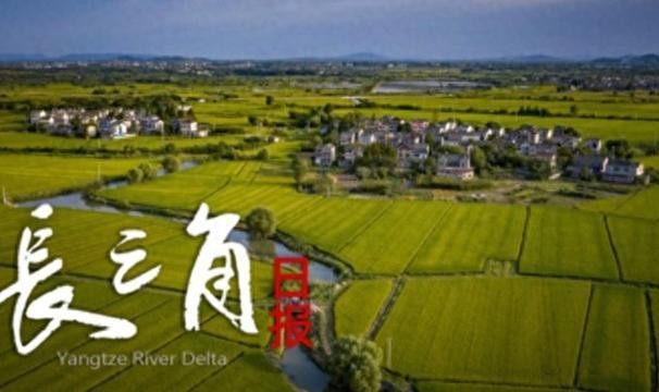 “苏超”赛场“气晕”的小恐龙有IP文创了