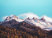 FIFA盛典：莱万获世界足球先生 克洛普最佳教练